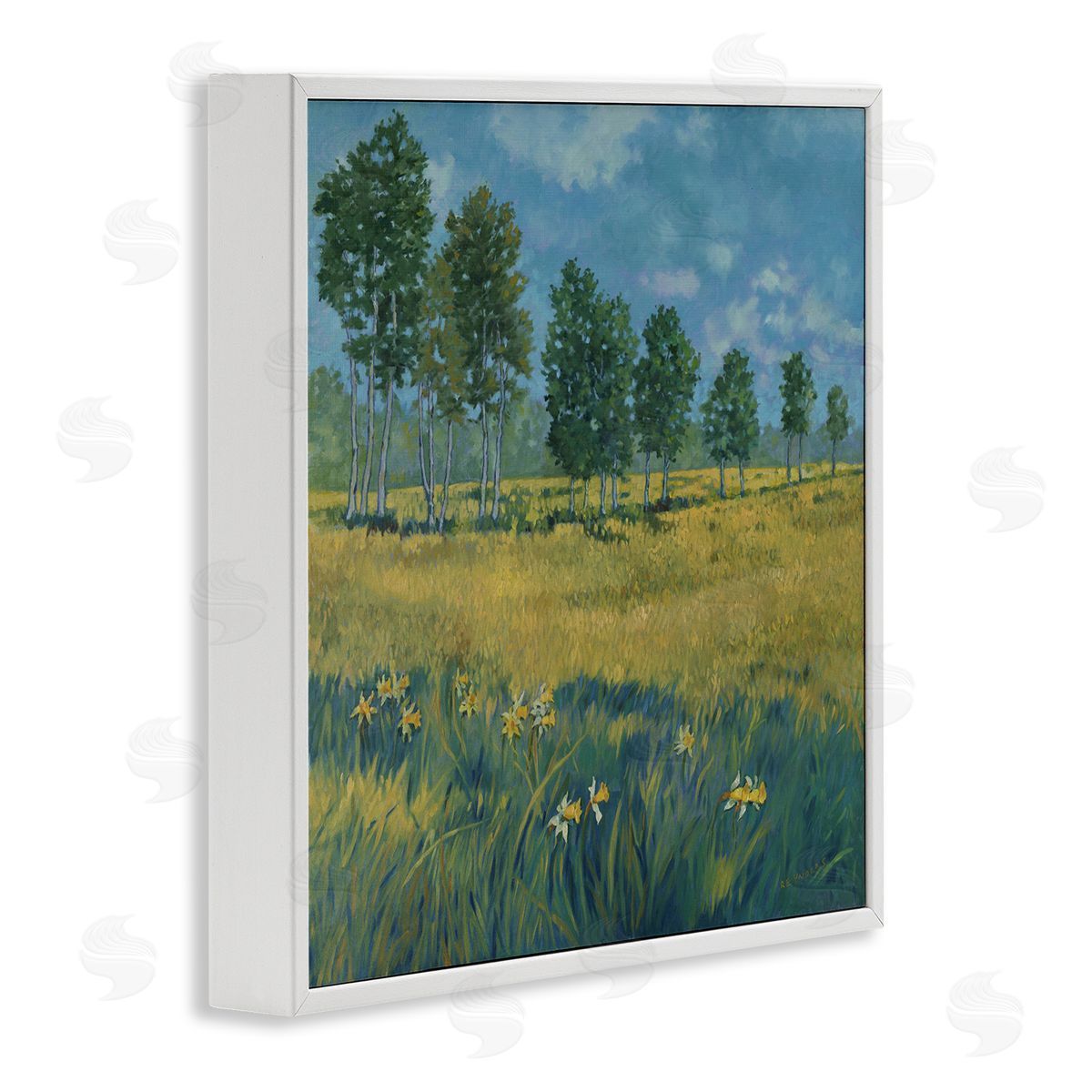 Graham Reynolds Daffodil Field Landscape White Framed Giclee Wall Art Print