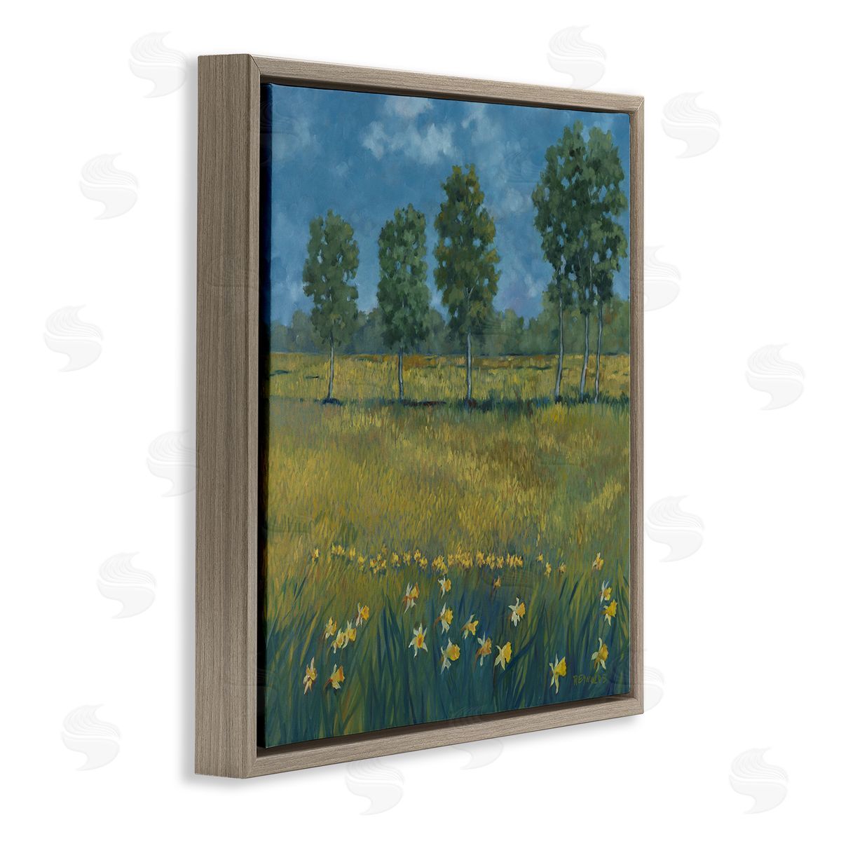 Graham Reynolds Meadow with Daffodils Brown Floating Frame Canvas Wall Art Print
