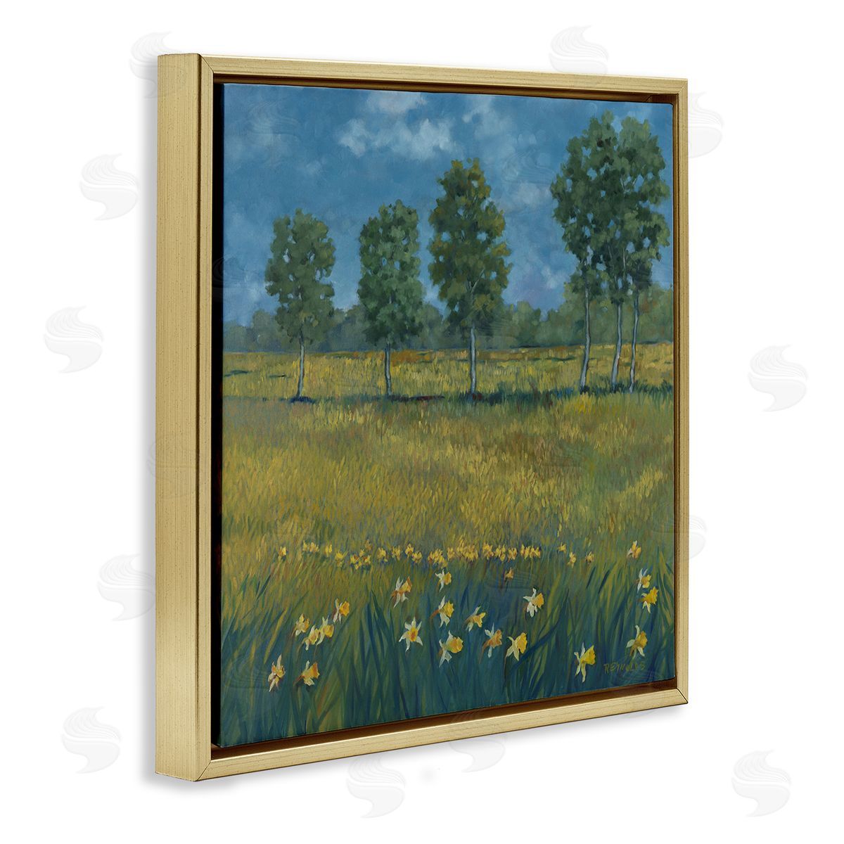 Graham Reynolds Meadow with Daffodils Gold Floating Frame Canvas Wall Art Print