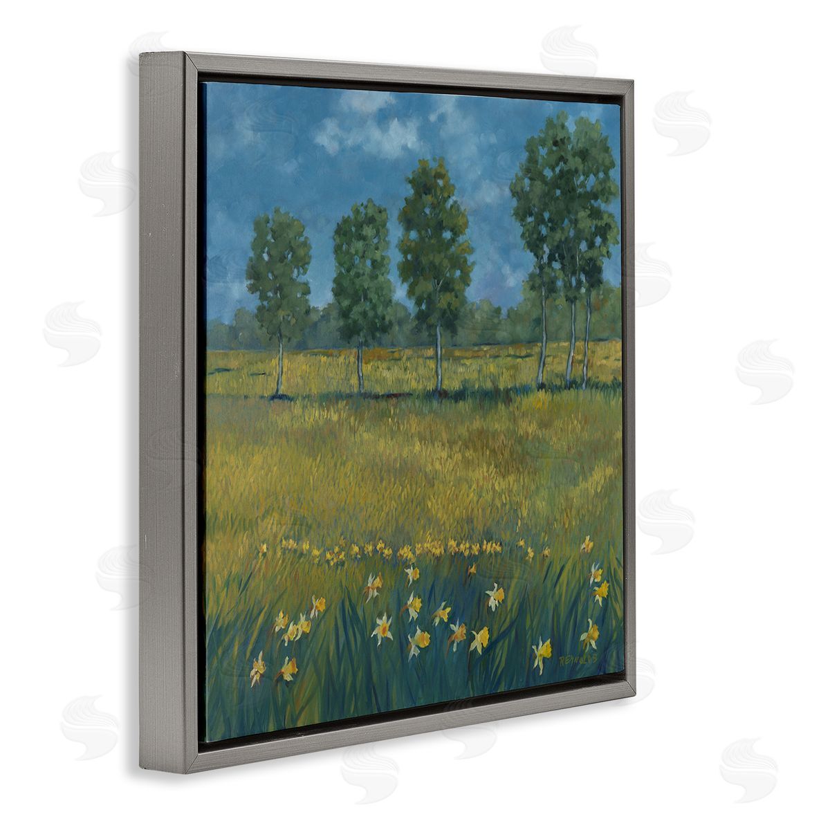 Graham Reynolds Meadow with Daffodils Gray Floating Frame Canvas Wall Art Print