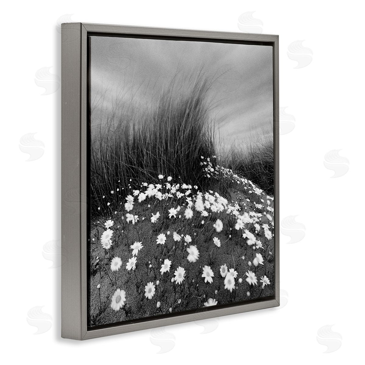 Sand Daisies on Hill Grey Floating Frame Canvas Wall Art, Home Decor by Chip Forelli