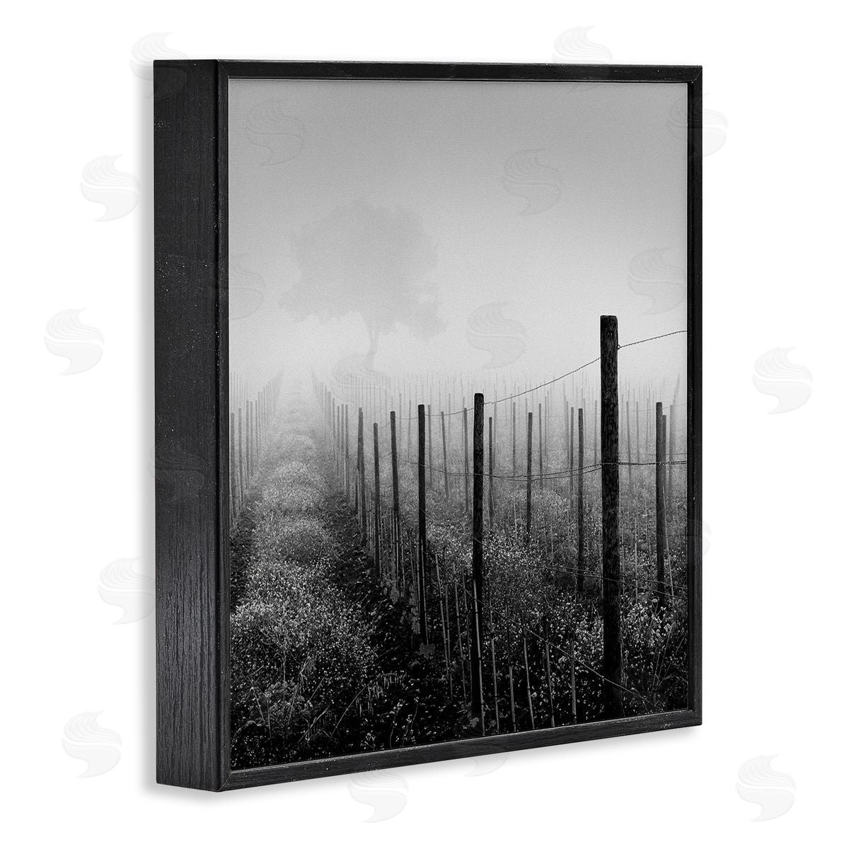 Chip Forelli Vineyard at Dawn Black Framed Giclee Wall Art Print