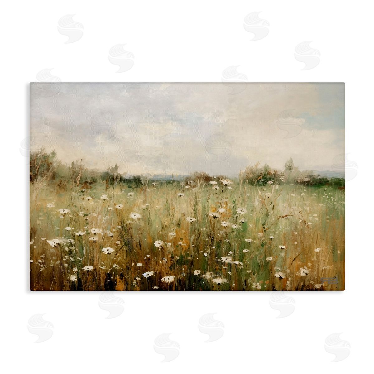 Country Daisy Field Canvas Wall Art, Home Decor by Roozbeh Bahramali