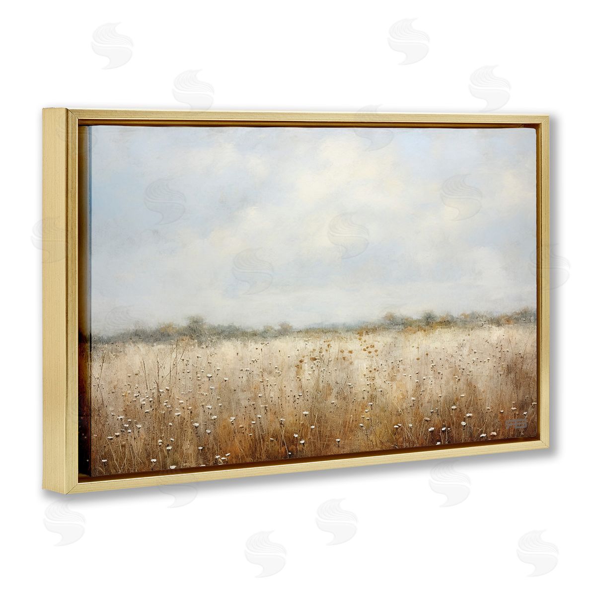 Soft Daisy Field Gold Floating Frame Canvas Wall Art, Home Decor by Roozbeh Bahramali