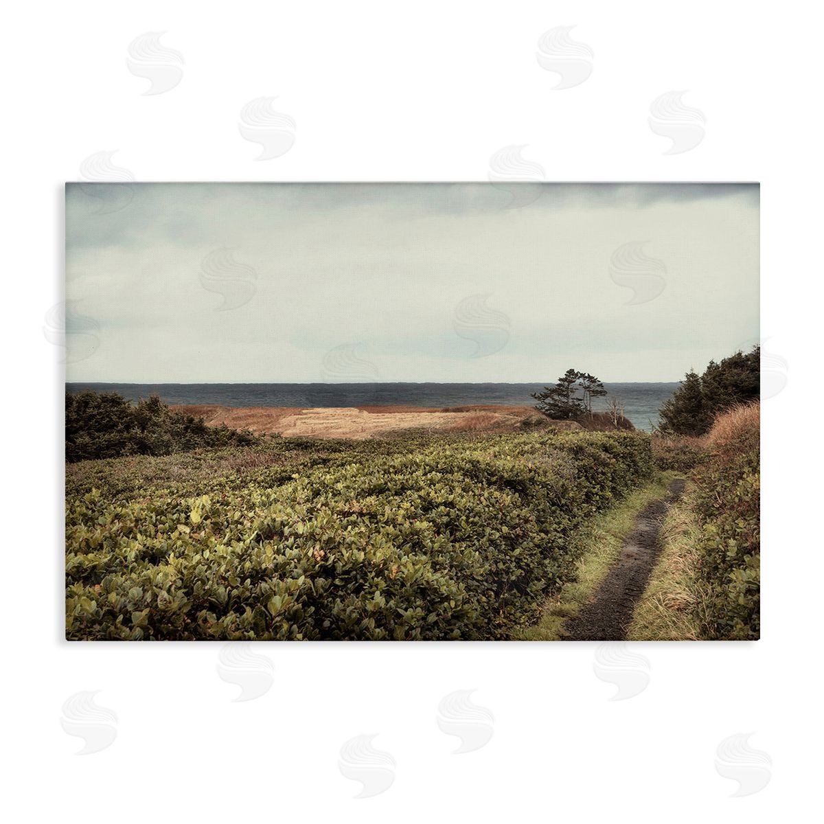 Serene Coastal Pathway Canvas Wall Art, Home Decor by Andy Amos