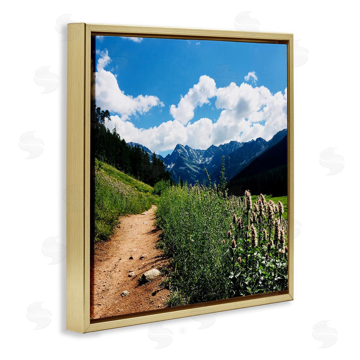 Anna Coppel Lovely Path with Clouds Gold Floating Frame Canvas Wall Art Print