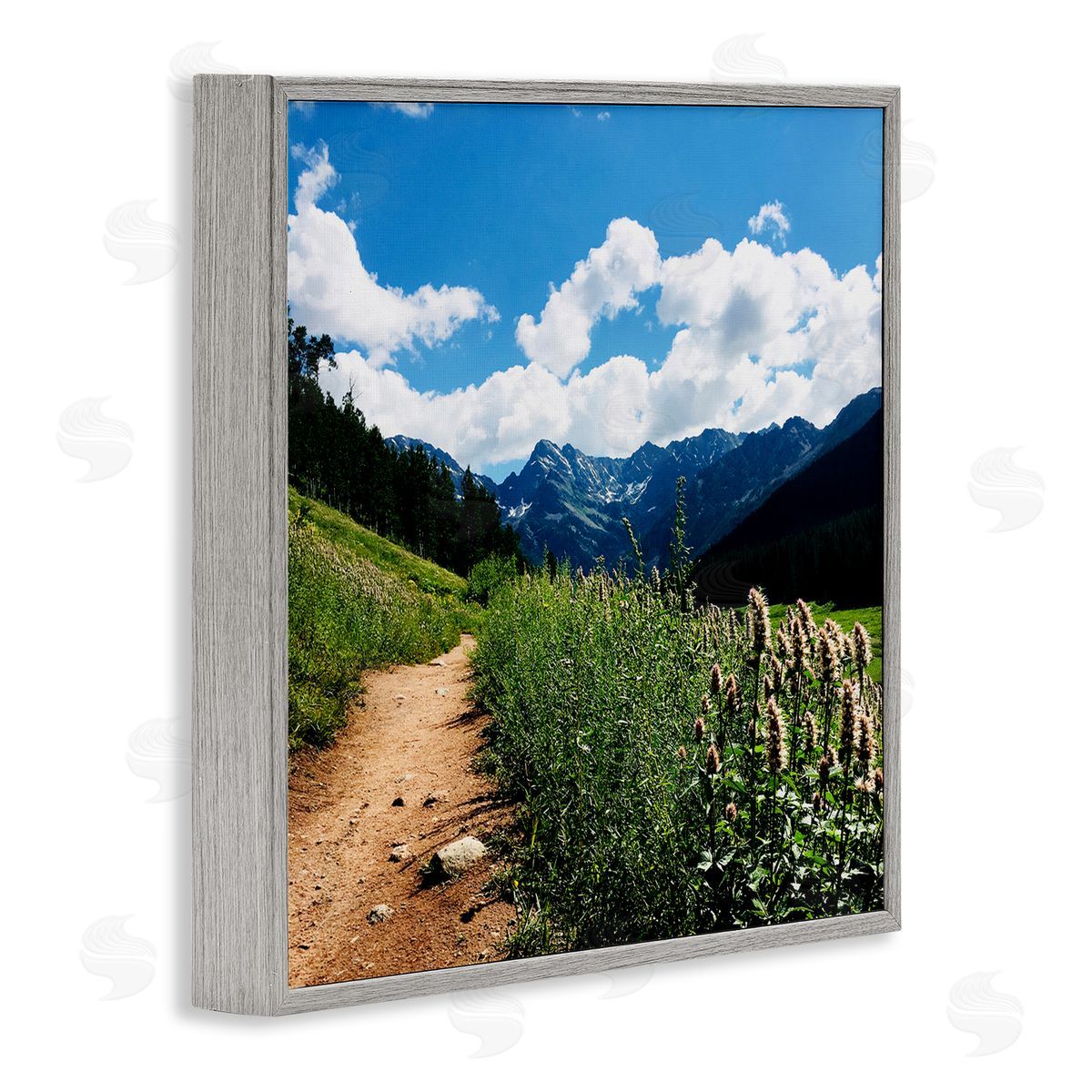 Anna Coppel Lovely Path with Clouds Gray Framed Giclee Wall Art Print