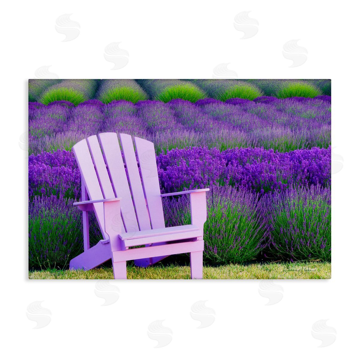 Dennis Frates Chair & Lavender Field Canvas Wall Art Print