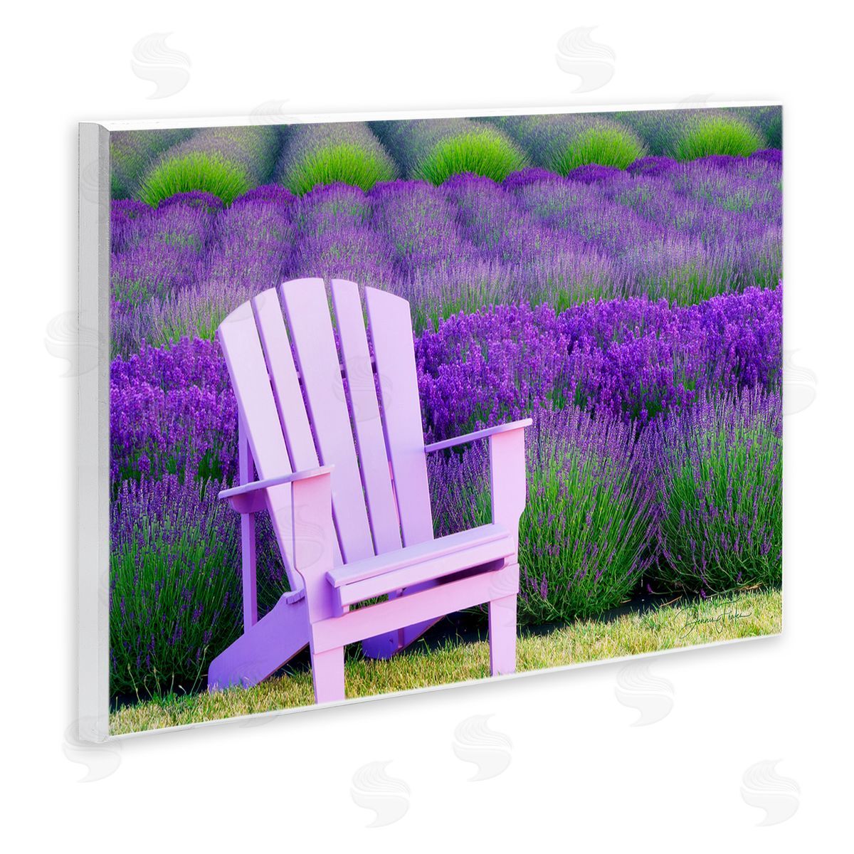 Dennis Frates Chair & Lavender Field Wooden Wall Plaque Art Print