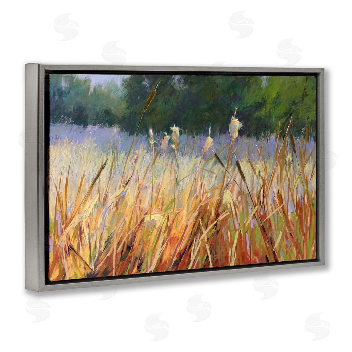 Carol Strock Wasson Country Summer Reeds Gray Floating Frame Canvas Wall Art Print