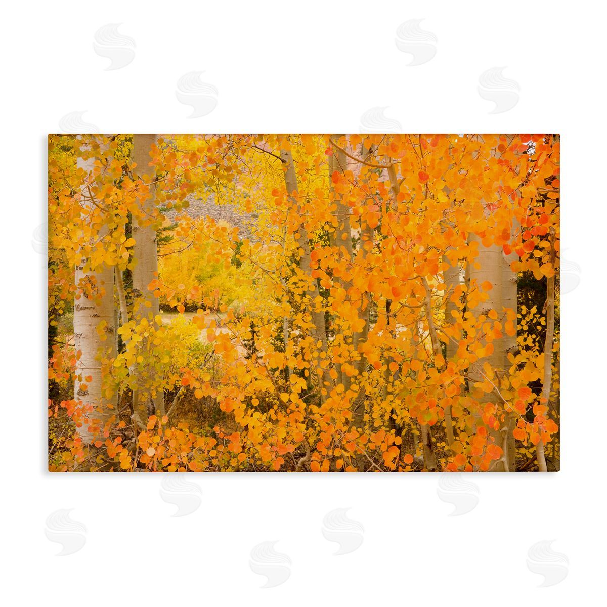 Richard Wong Dense Birch Foliage Canvas Wall Art Print