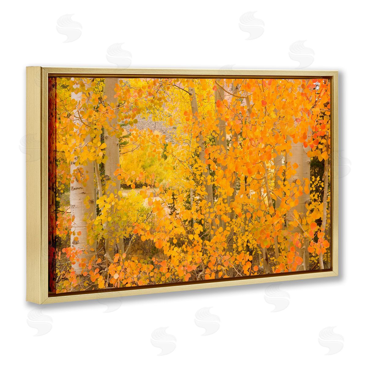 Richard Wong Dense Birch Foliage Gold Floating Frame Canvas Wall Art Print