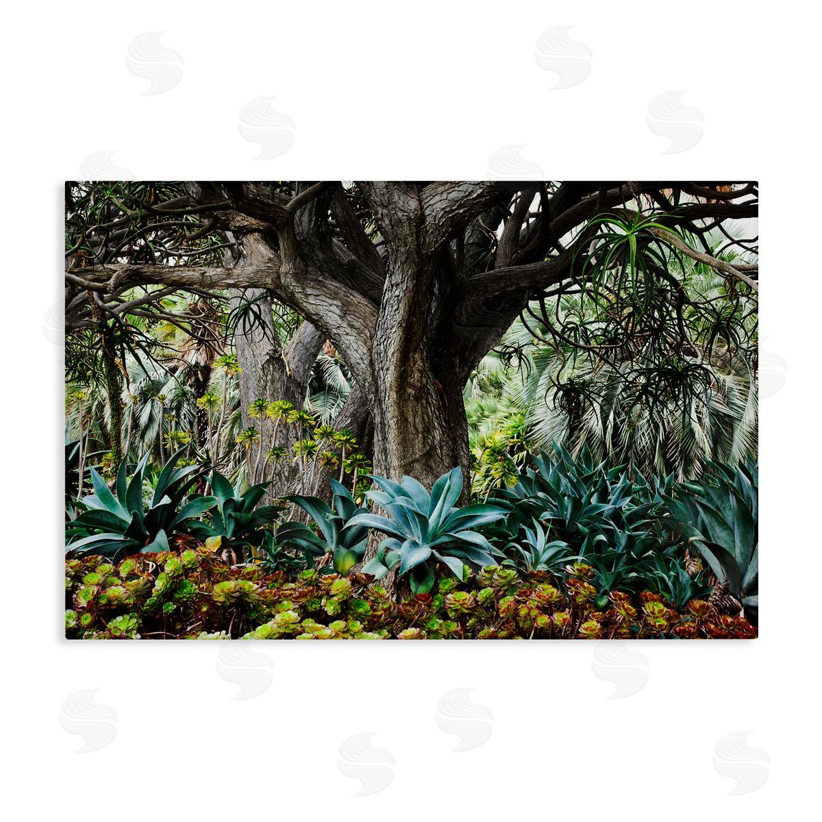 Richard Wong Lush Tropical Vegetation Canvas Wall Art Print