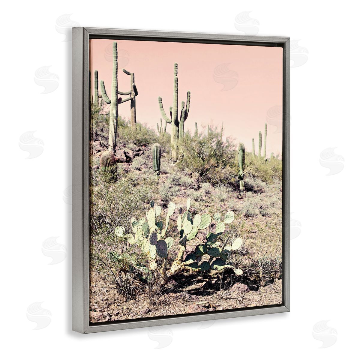 Susan Bryant Rustic Desert Scene Gray Floating Frame Canvas Wall Art Print