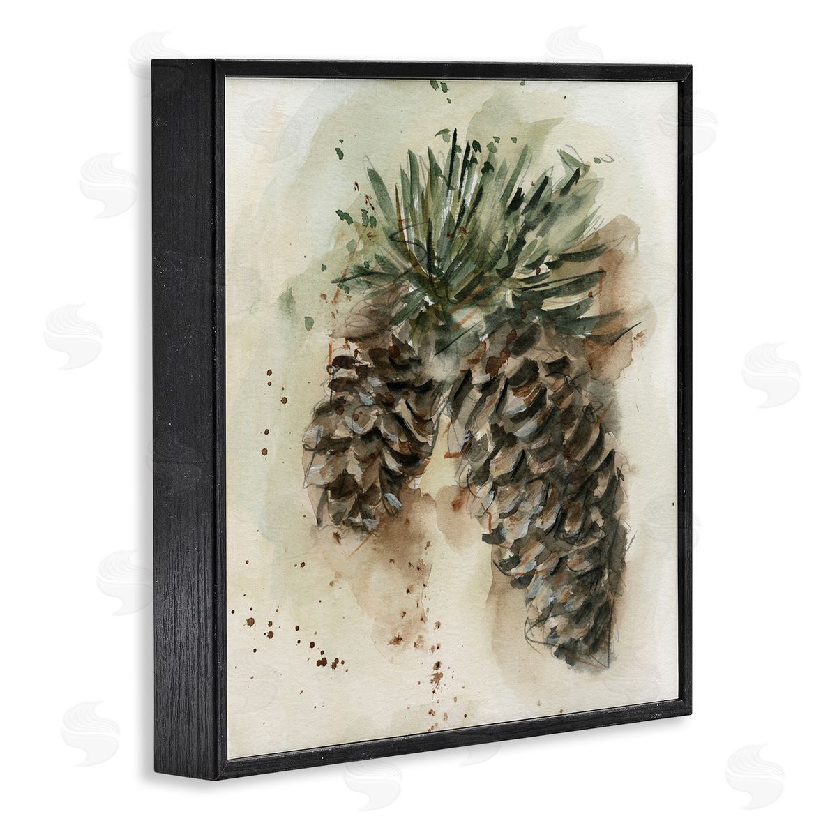 Ethan Harper Pine Cone Watercolor Black Framed Giclee Wall Art Print