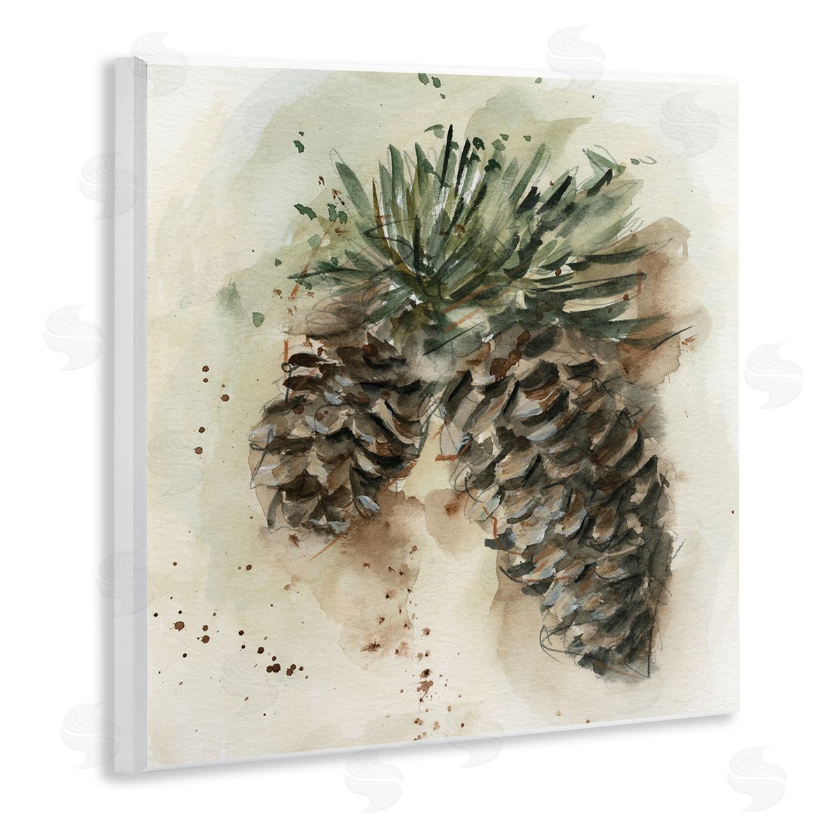 Ethan Harper Pine Cone Watercolor Wooden Wall Plaque Art Print