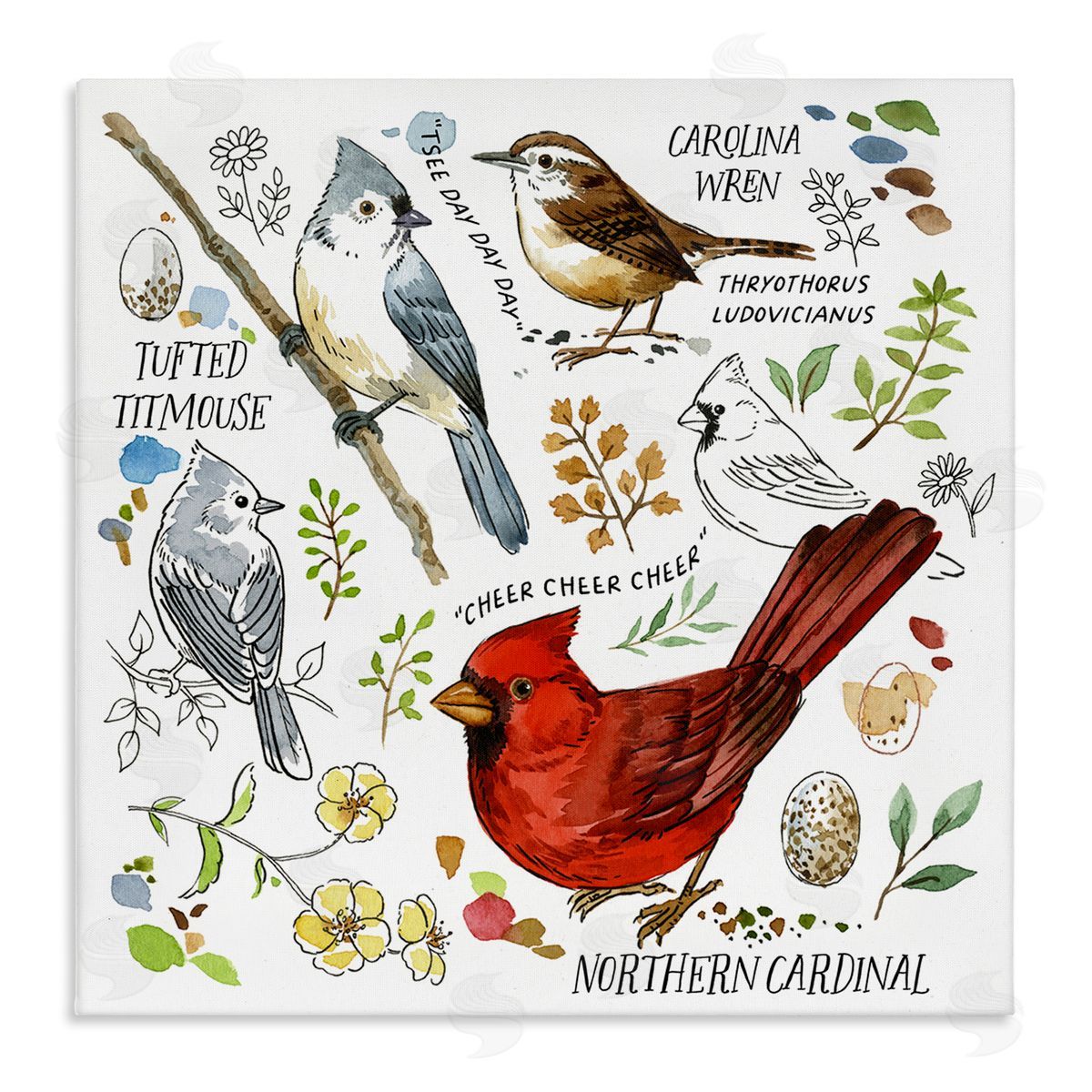 Jane Maday Bird Watching Chart Canvas Wall Art Print