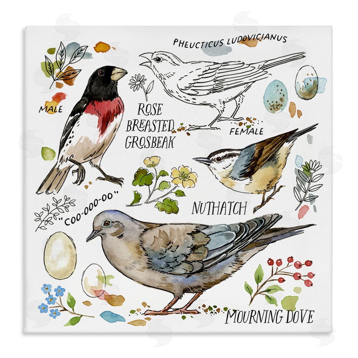 Jane Maday Bird Watching Diagram Canvas Wall Art Print