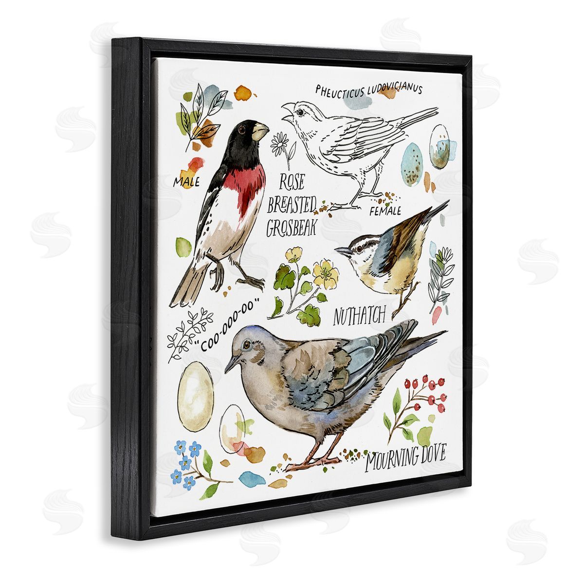Jane Maday Bird Watching Diagram Black Floating Frame Canvas Wall Art Print