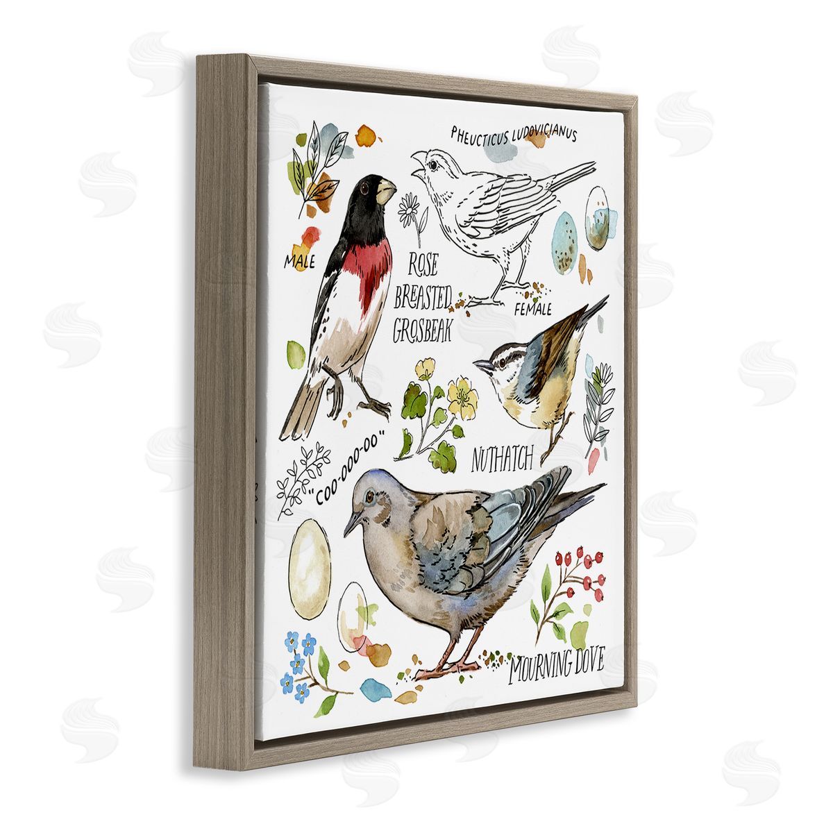 Jane Maday Bird Watching Diagram Brown Floating Frame Canvas Wall Art Print