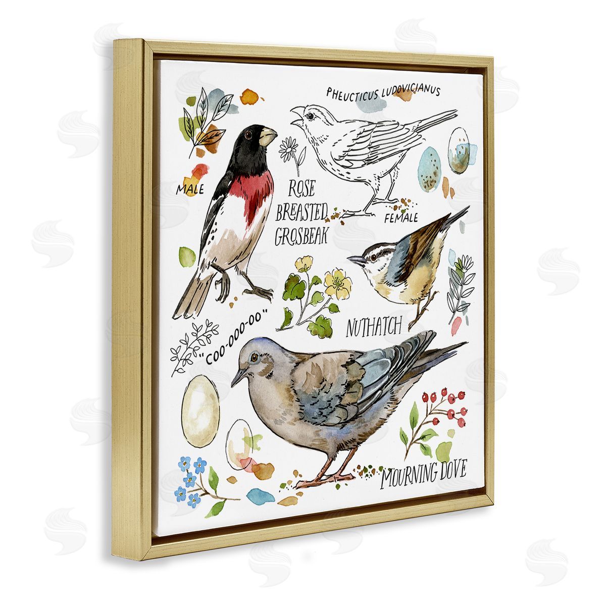 Jane Maday Bird Watching Diagram Gold Floating Frame Canvas Wall Art Print
