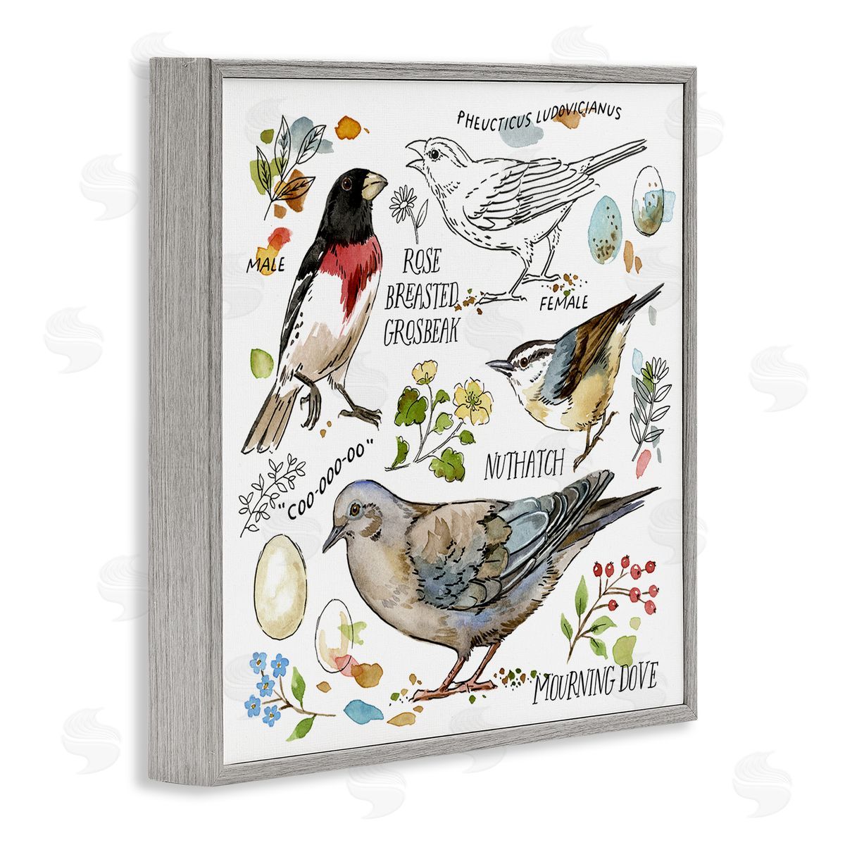 Jane Maday Bird Watching Diagram Gray Framed Giclee Wall Art Print