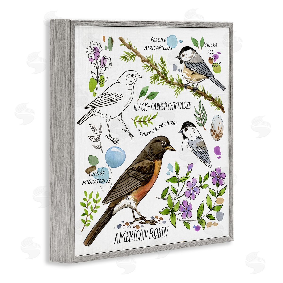 Jane Maday Local Bird Watching Gray Framed Giclee Wall Art Print
