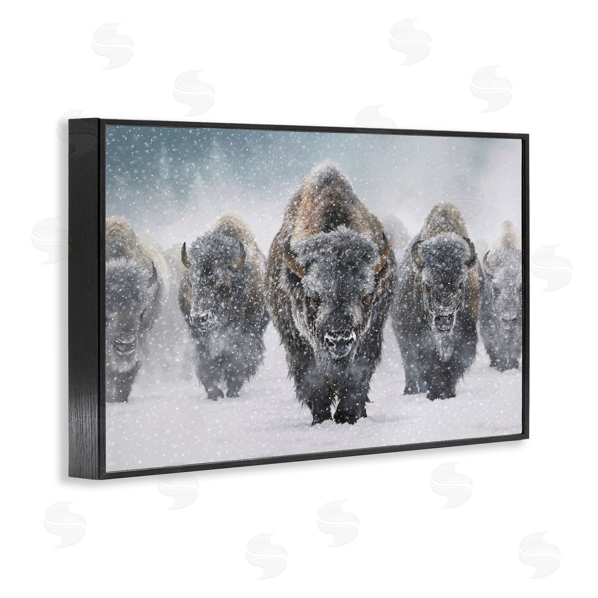 Mark Kelso Indomitable Bison in Snow Black Framed Giclee Wall Art Print