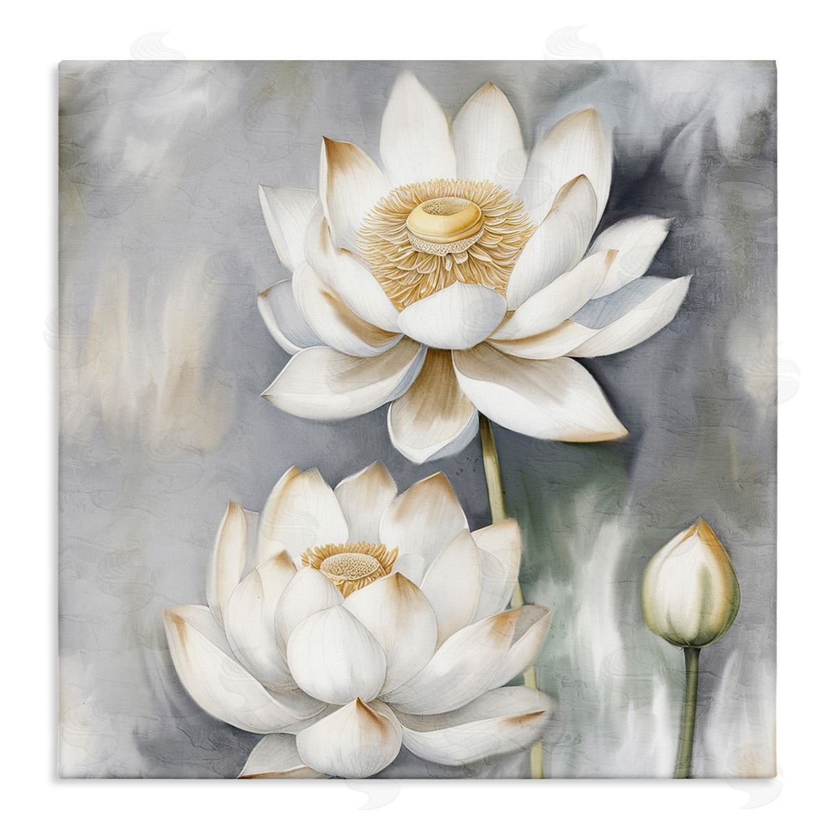 Kim Allen Budding White Lotus Canvas Wall Art Print