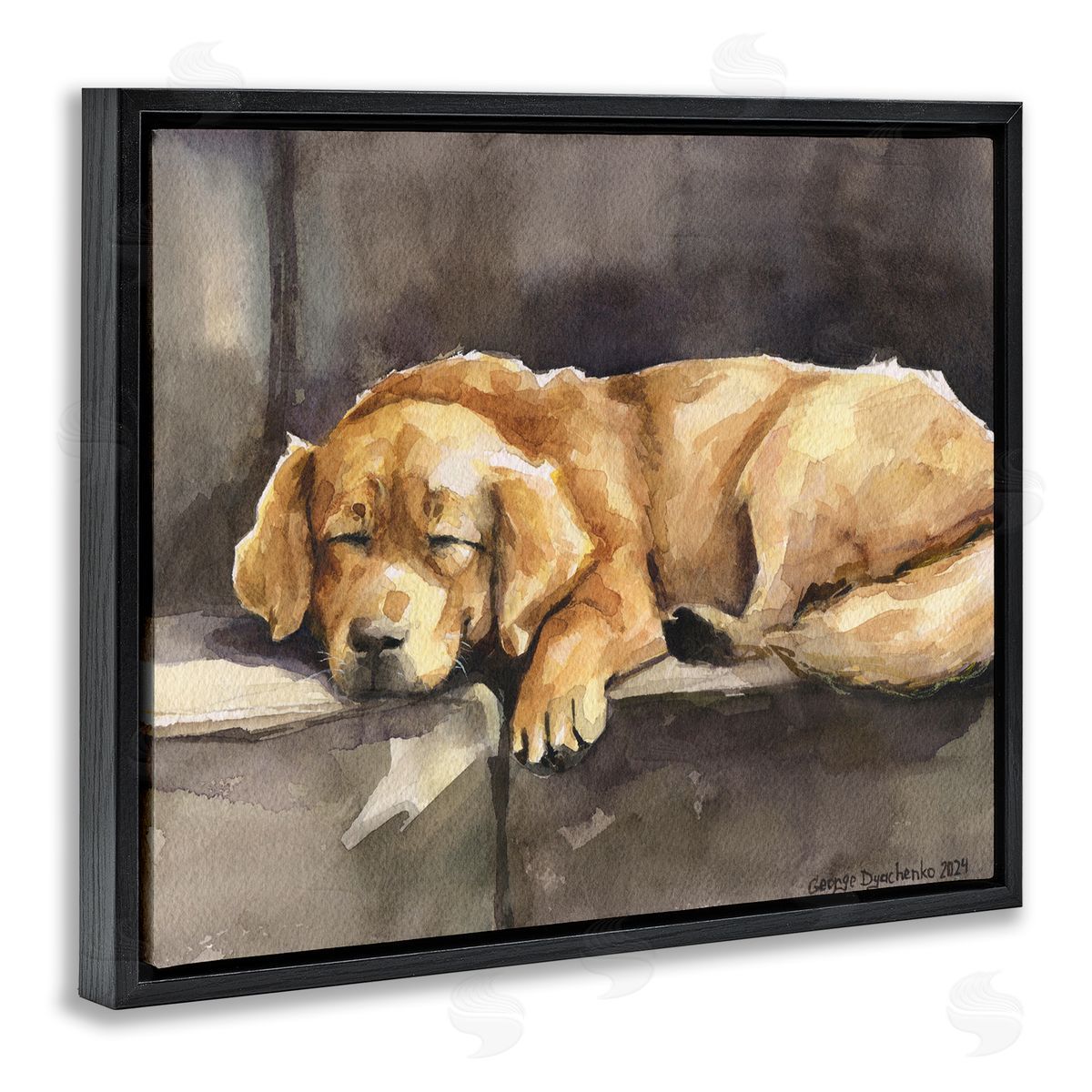 George Dyachenko Sleeping Golden Retriever Black Floating Frame Canvas Wall Art Print