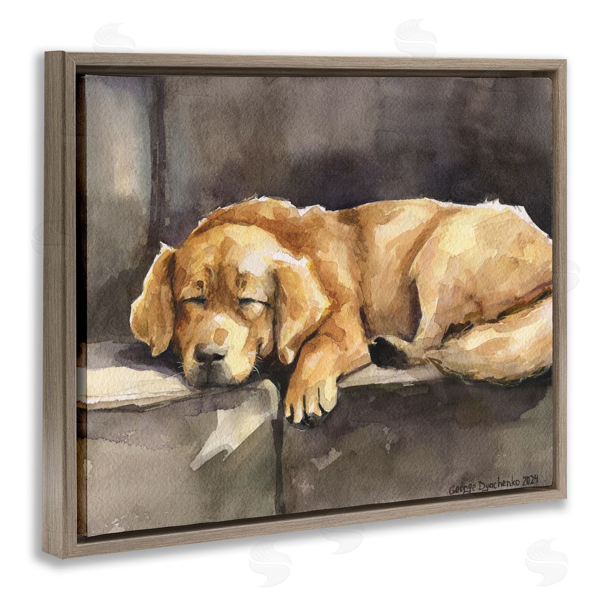 George Dyachenko Sleeping Golden Retriever Brown Floating Frame Canvas Wall Art Print