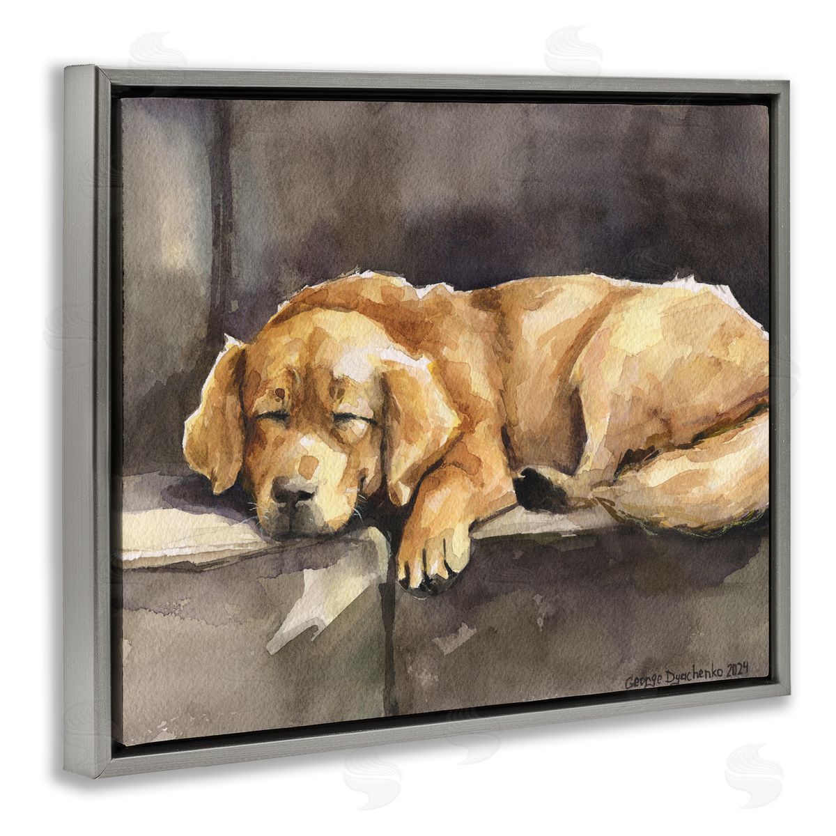 George Dyachenko Sleeping Golden Retriever Gray Floating Frame Canvas Wall Art Print