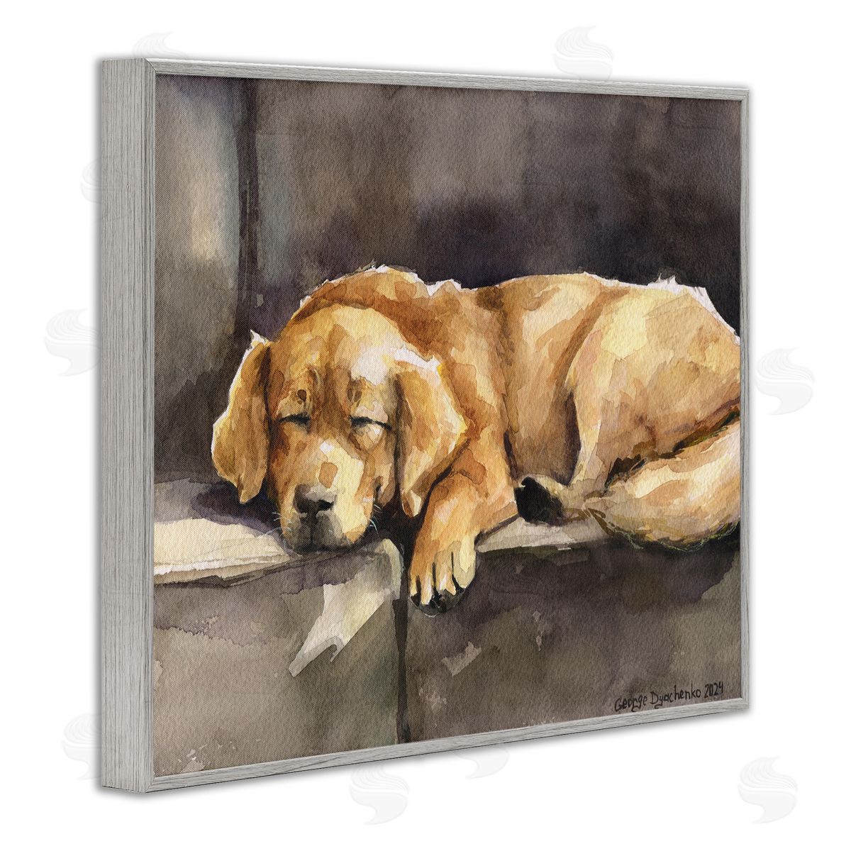 George Dyachenko Sleeping Golden Retriever Gray Framed Giclee Wall Art Print