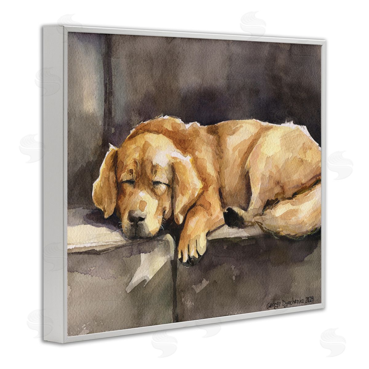 George Dyachenko Sleeping Golden Retriever White Framed Giclee Wall Art Print