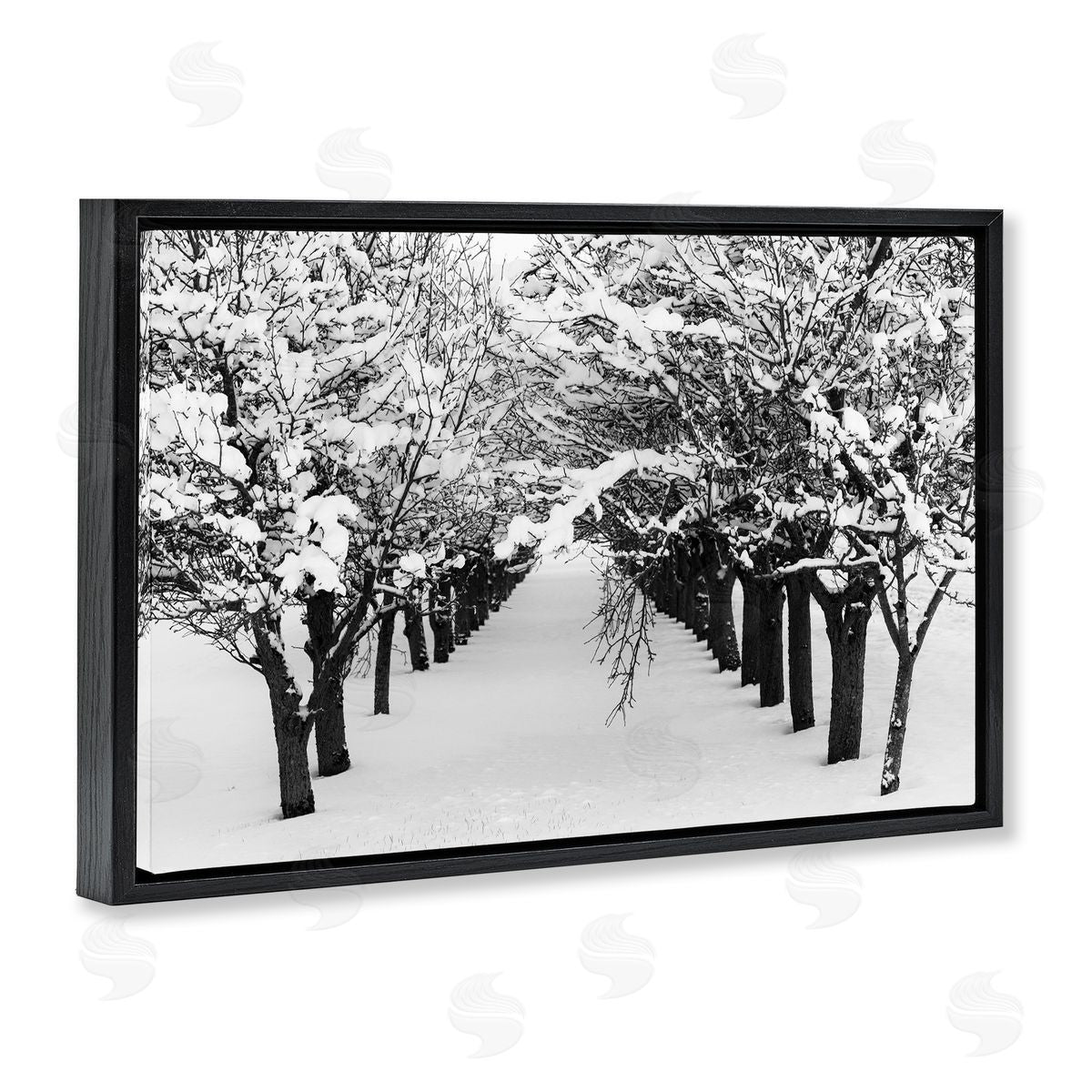 Nancy Crowell Winter Tree Pathway Black Floating Frame Canvas Wall Art Print