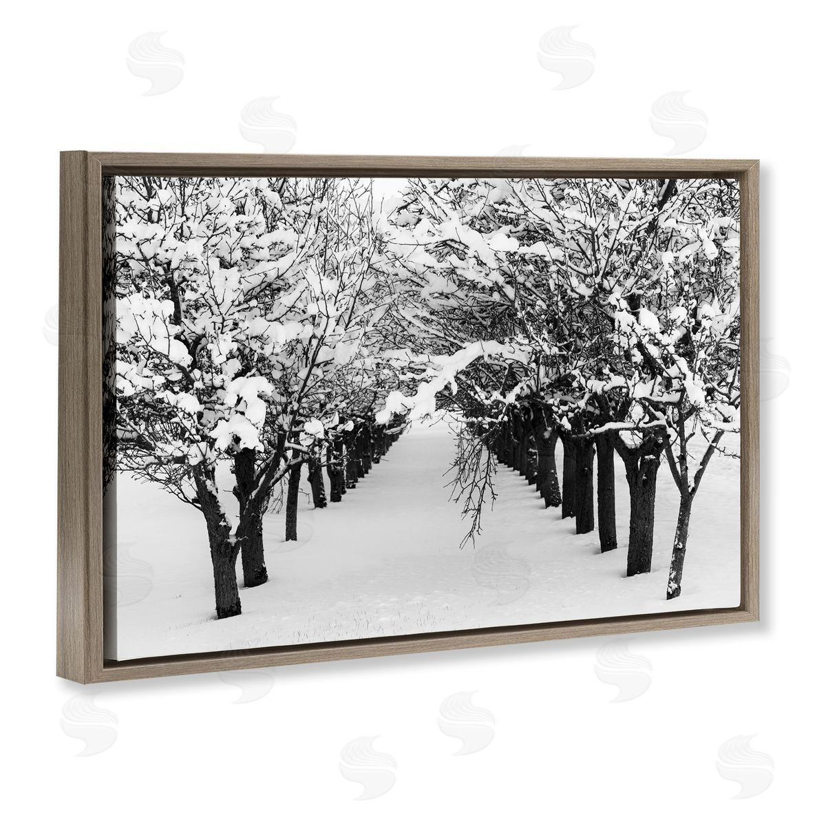 Nancy Crowell Winter Tree Pathway Brown Floating Frame Canvas Wall Art Print