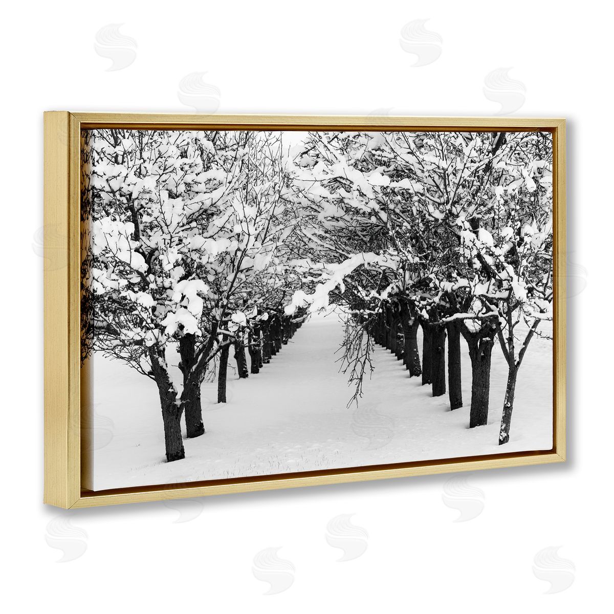 Nancy Crowell Winter Tree Pathway Gold Floating Frame Canvas Wall Art Print