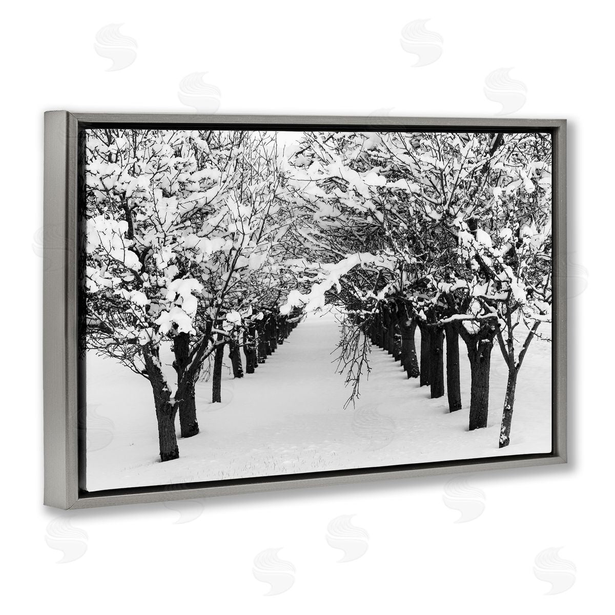 Nancy Crowell Winter Tree Pathway Gray Floating Frame Canvas Wall Art Print