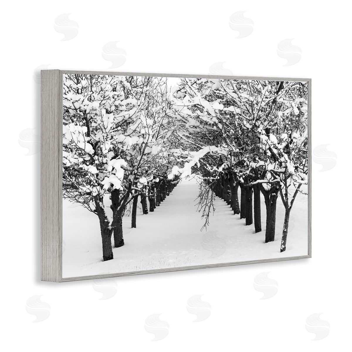 Nancy Crowell Winter Tree Pathway Gray Framed Giclee Wall Art Print