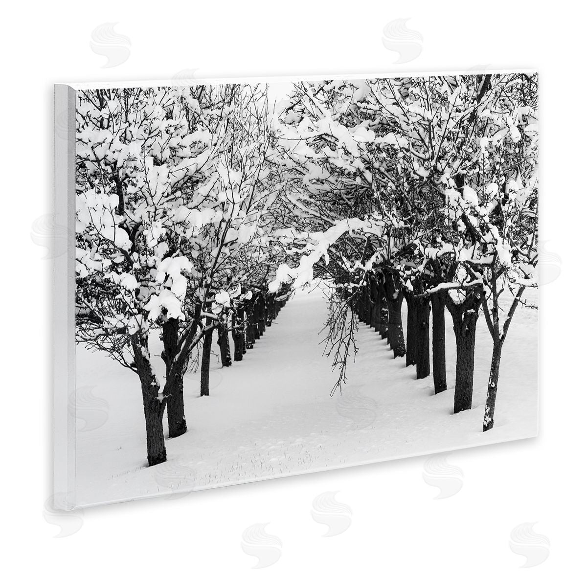 Nancy Crowell Winter Tree Pathway Wooden Wall Plaque Art Print