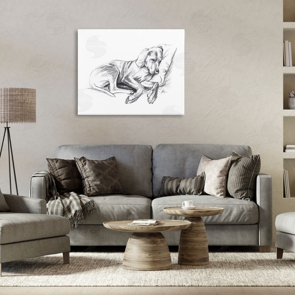 Lindsay Kivi Fine Art Napping Dog Drawing Canvas Wall Art Print in Room