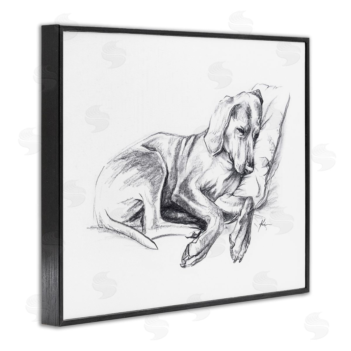 Lindsay Kivi Fine Art Napping Dog Drawing Black Framed Giclee Wall Art Print
