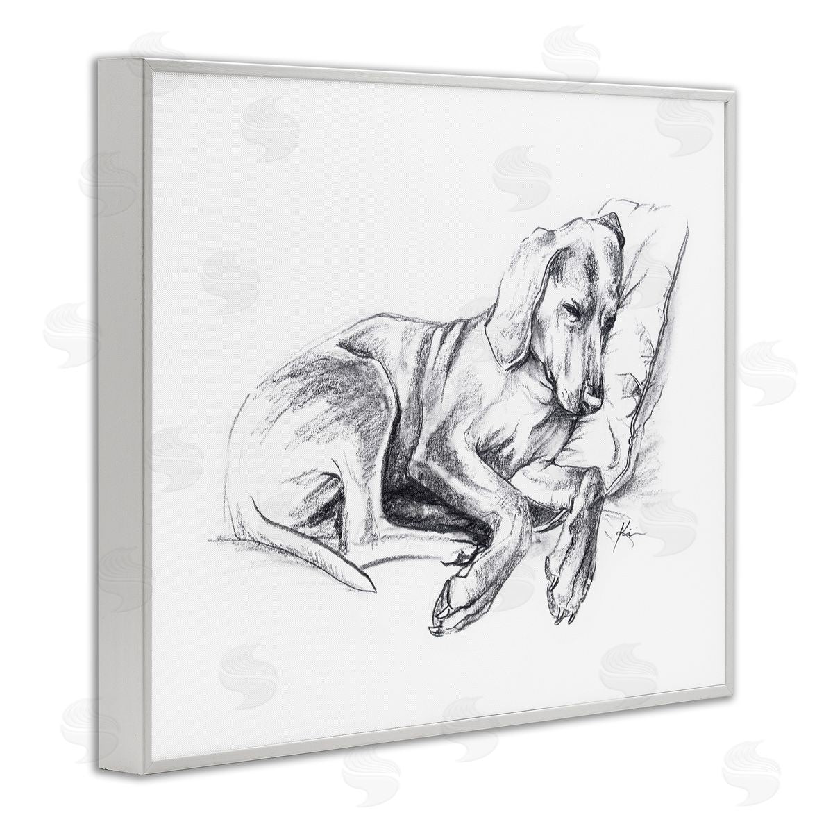 Lindsay Kivi Fine Art Napping Dog Drawing White Framed Giclee Wall Art Print