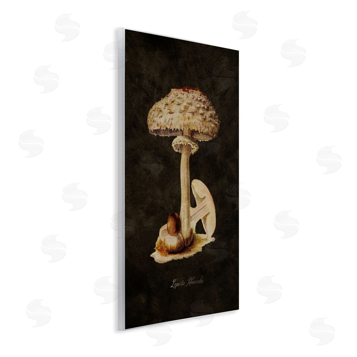 Tina Higgins Designs Inc. Vintage Mushroom Study Wooden Wall Plaque Art Print
