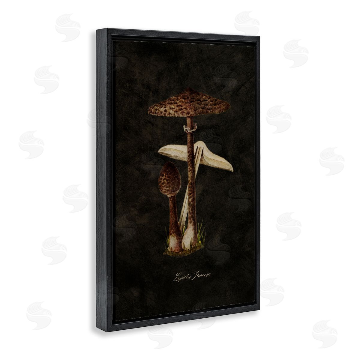 Tina Higgins Designs Inc. Dark Woodland Mushroom Black Floating Frame Canvas Wall Art Print