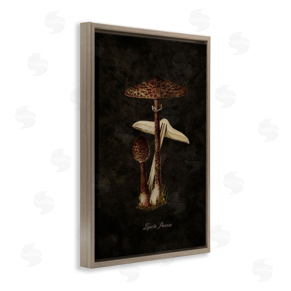 Tina Higgins Designs Inc. Dark Woodland Mushroom Brown Floating Frame Canvas Wall Art Print