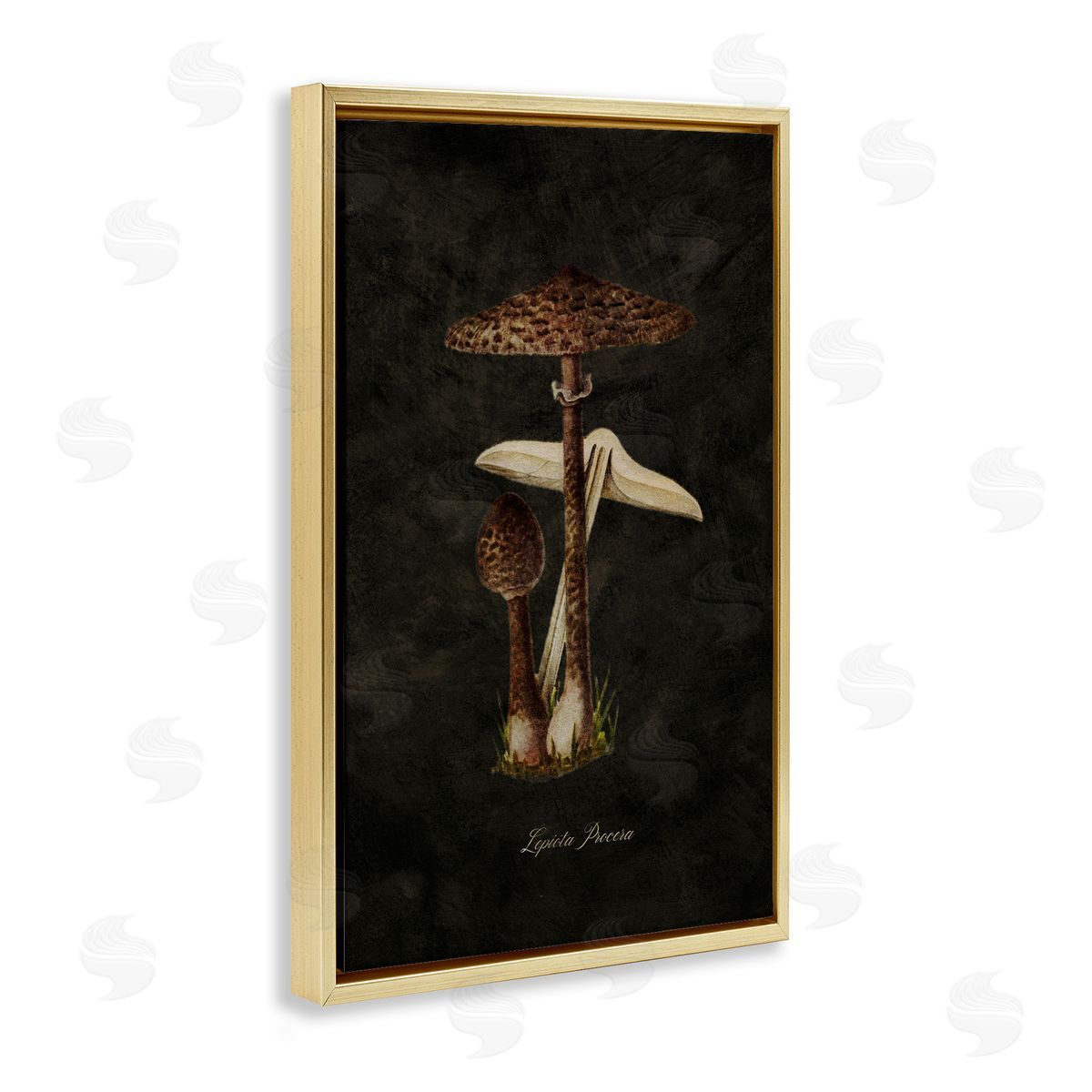 Tina Higgins Designs Inc. Dark Woodland Mushroom Gold Floating Frame Canvas Wall Art Print
