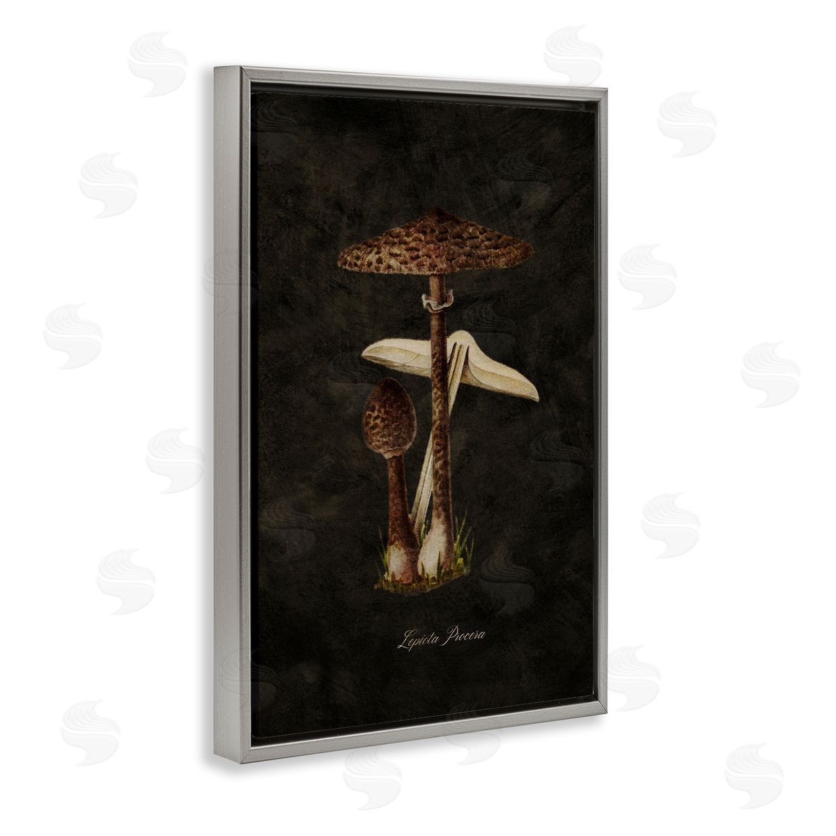 Tina Higgins Designs Inc. Dark Woodland Mushroom Gray Floating Frame Canvas Wall Art Print