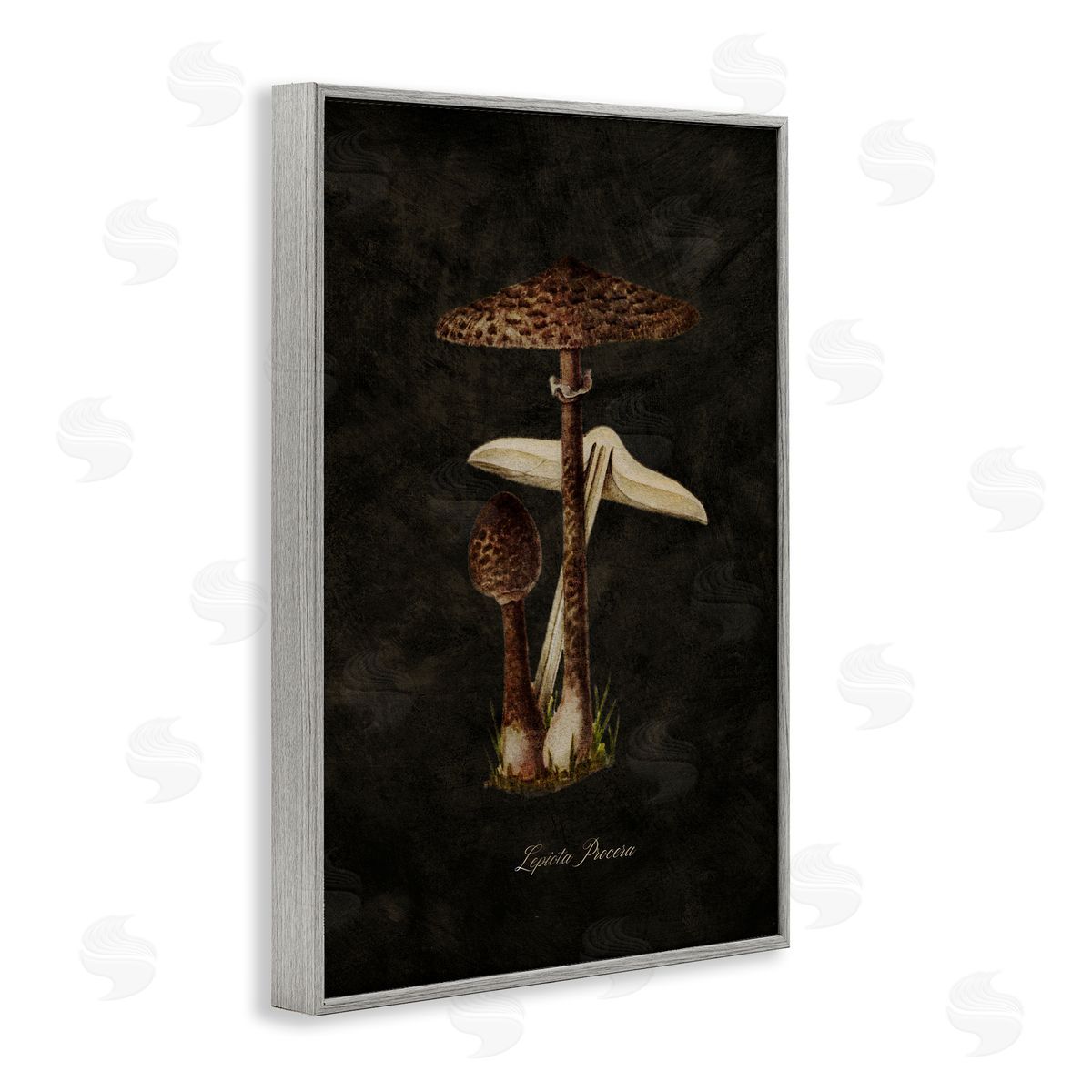 Tina Higgins Designs Inc. Dark Woodland Mushroom Gray Framed Giclee Wall Art Print
