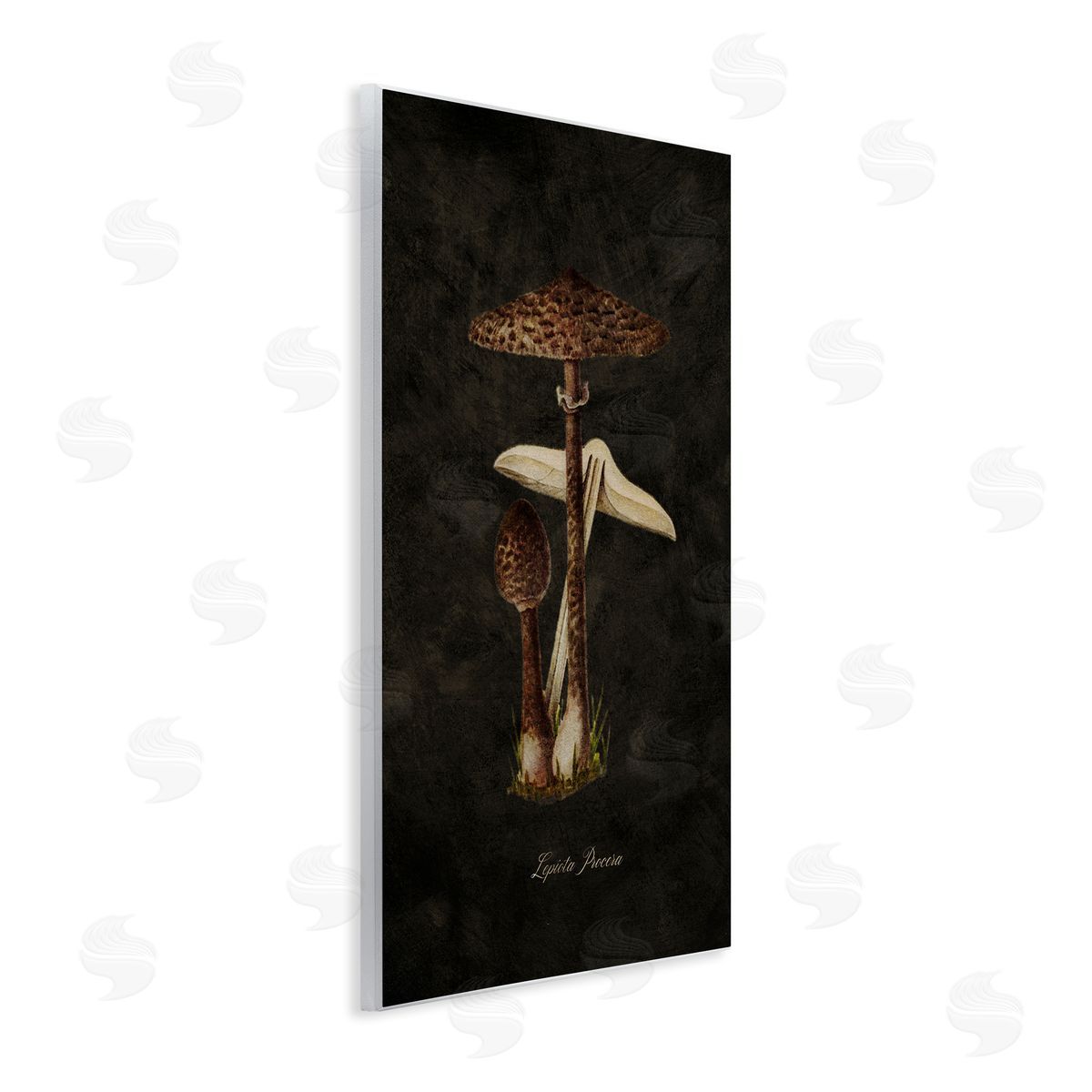 Tina Higgins Designs Inc. Dark Woodland Mushroom Wooden Wall Plaque Art Print